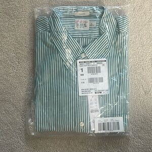 J Crew Secret Wash Classic Green Dennis Stripe Button Down Shirt